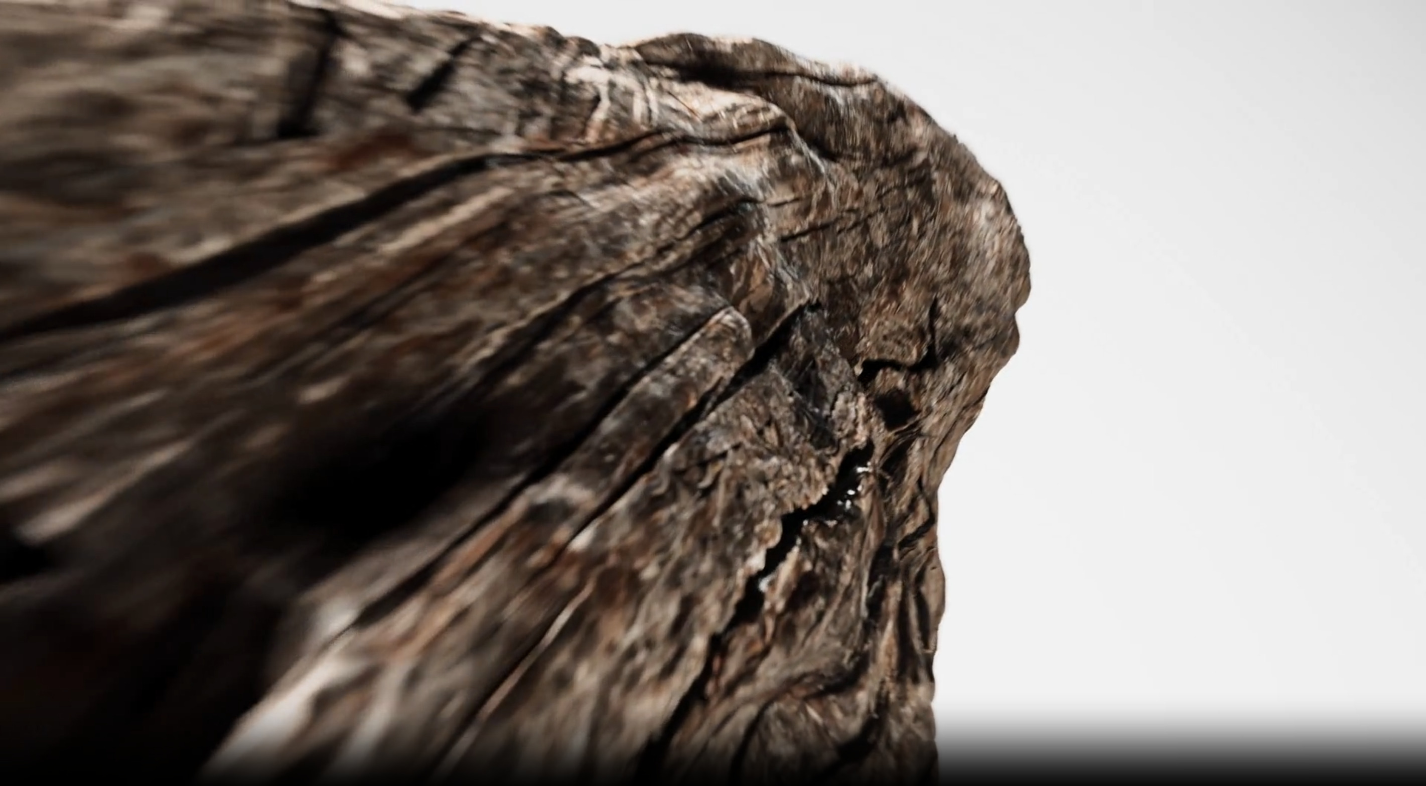 Cuuut, project-player: YSL / MYSLF (fig. 2)