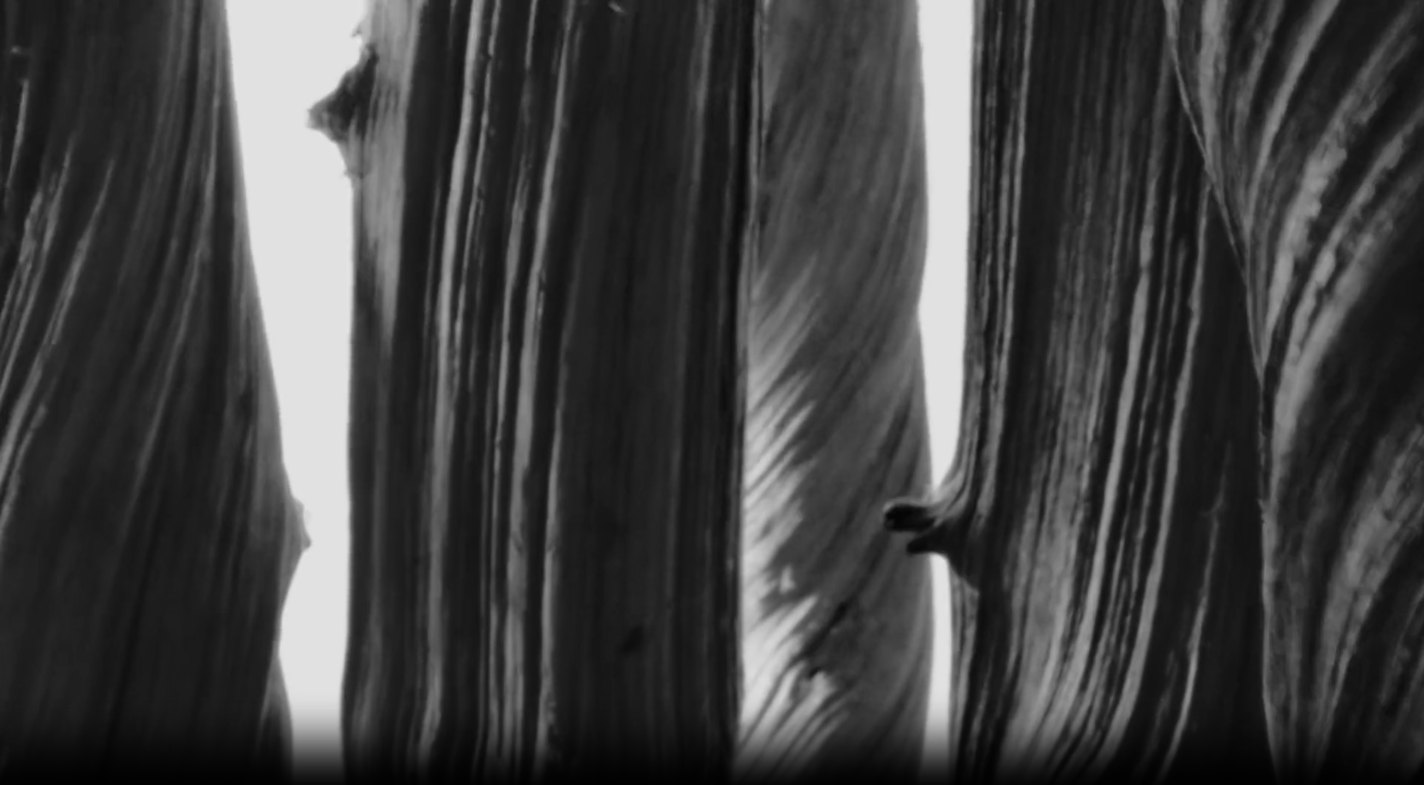 Cuuut, project-player: Armani / Acqua Di Gio (fig. 4)