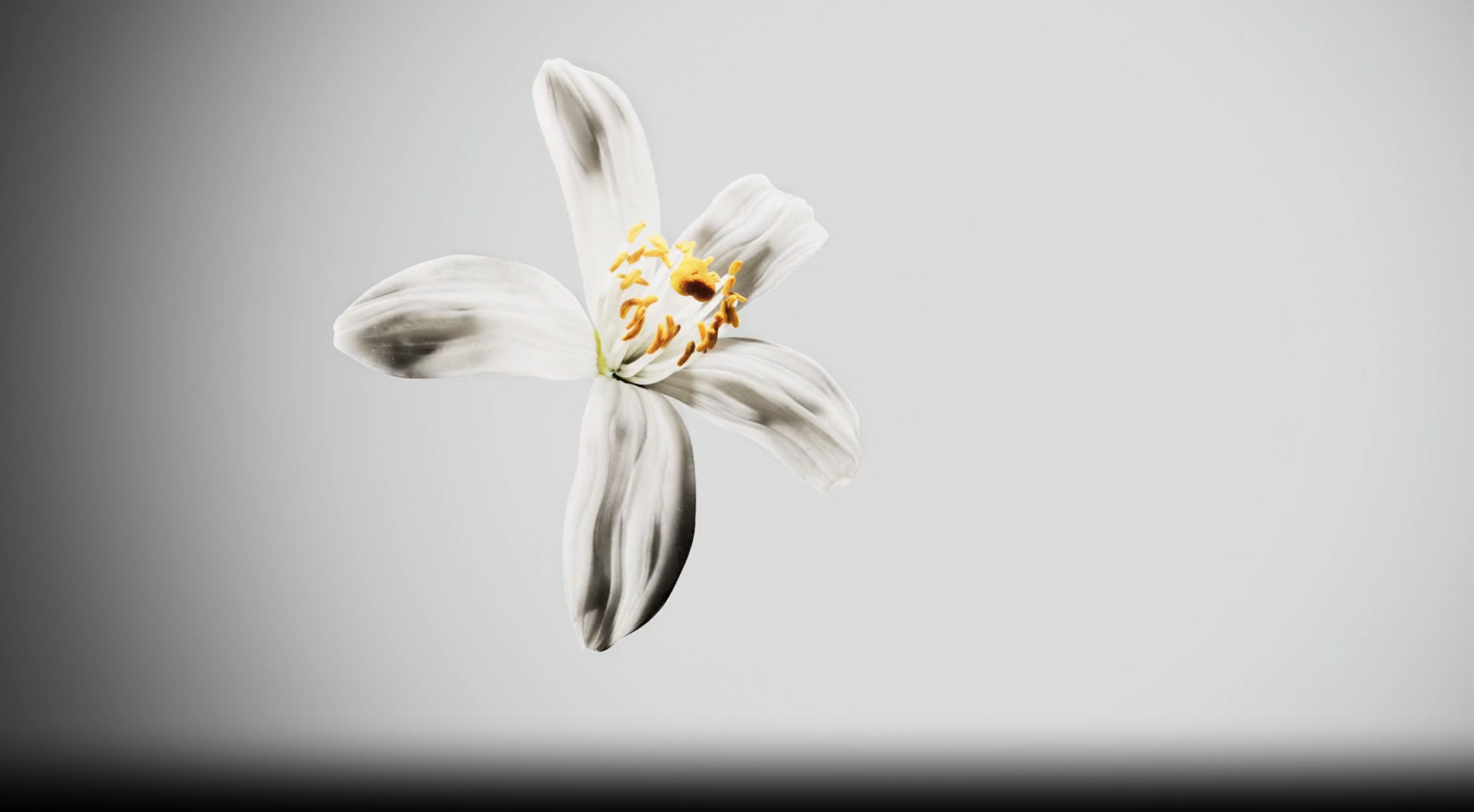 Cuuut, project-player: YSL / MYSLF (fig. 4)