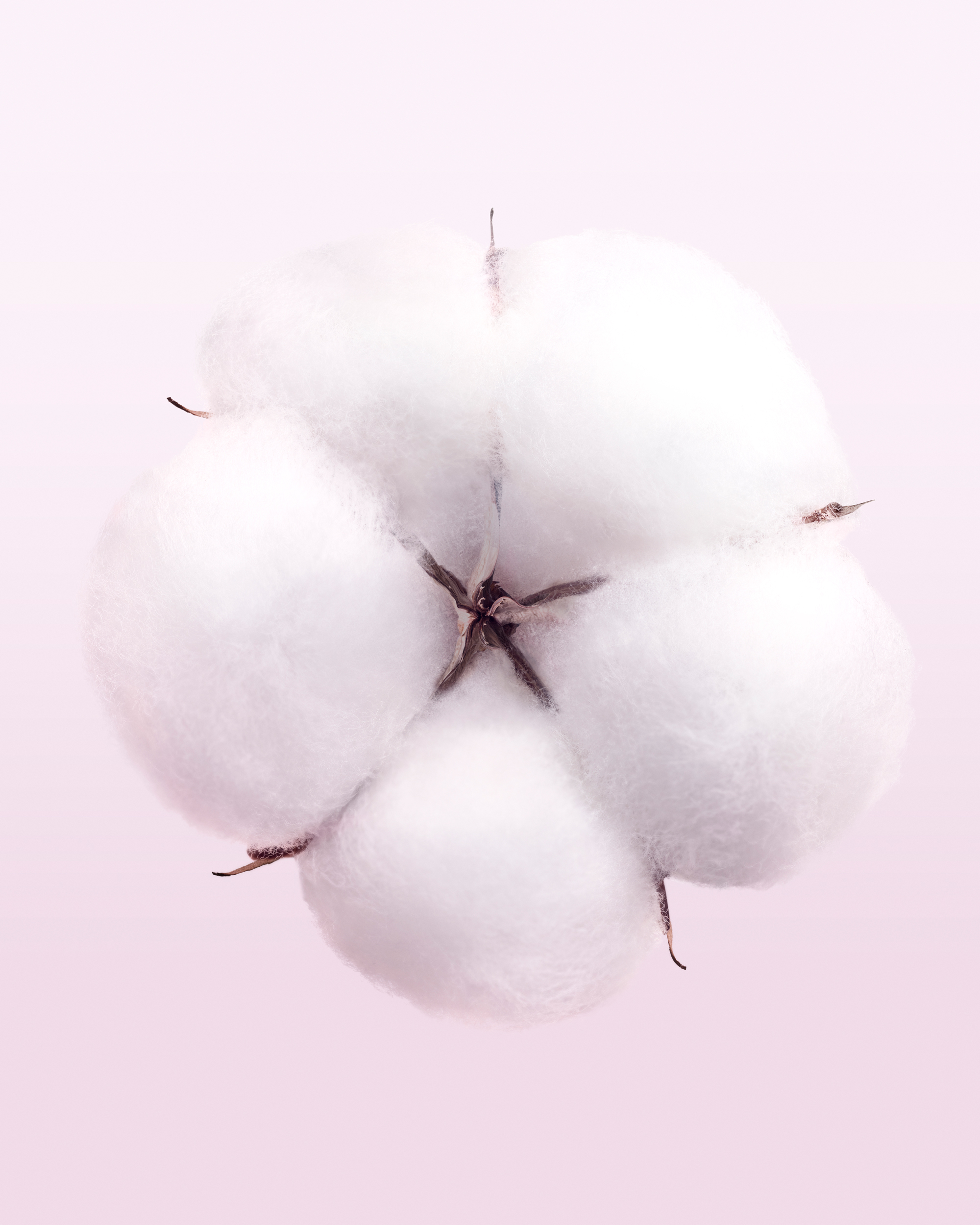 Cuuut, project: Narciso Rodriguez Eau De Parfum (thumbnail)