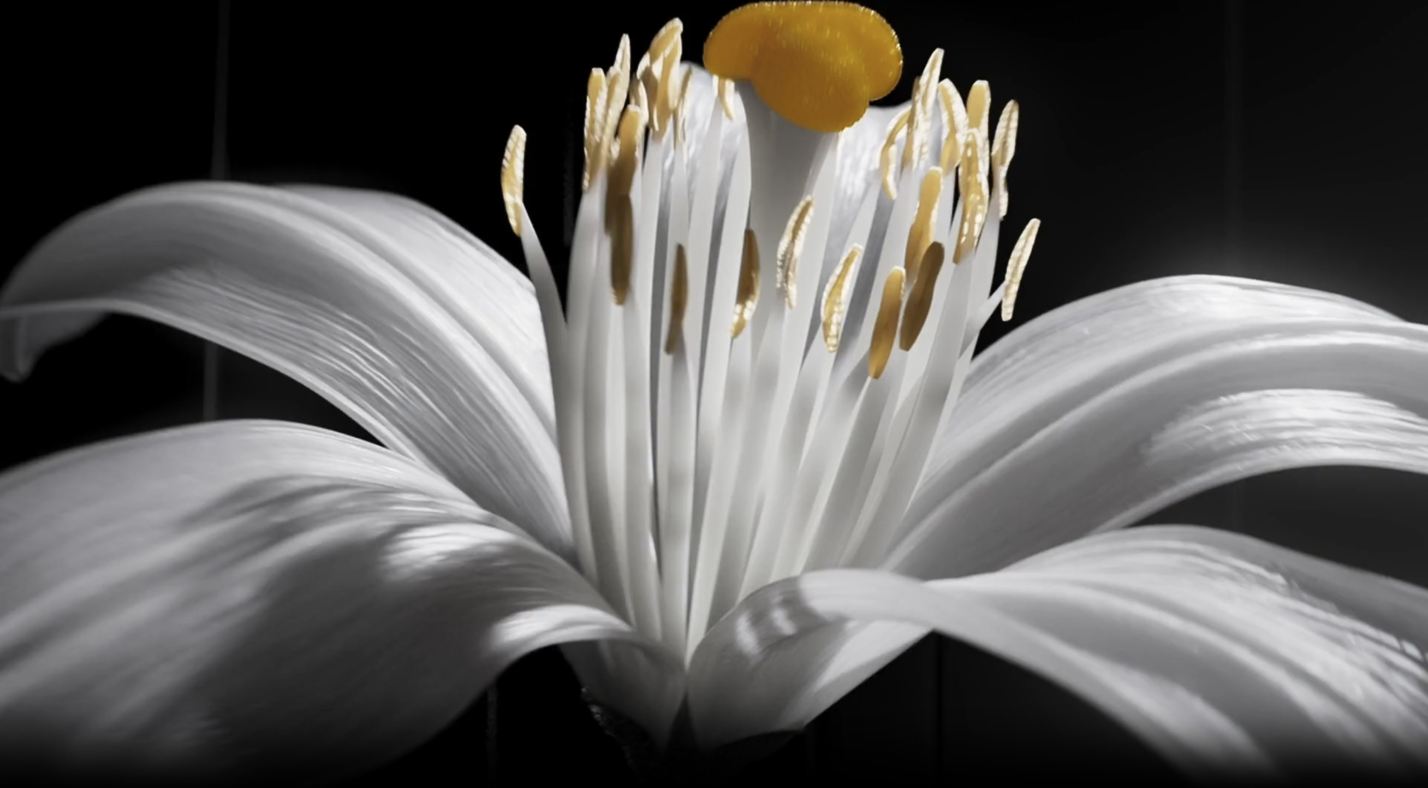 Cuuut, project-player: YSL / MYSLF Le Parfum (fig. 3)