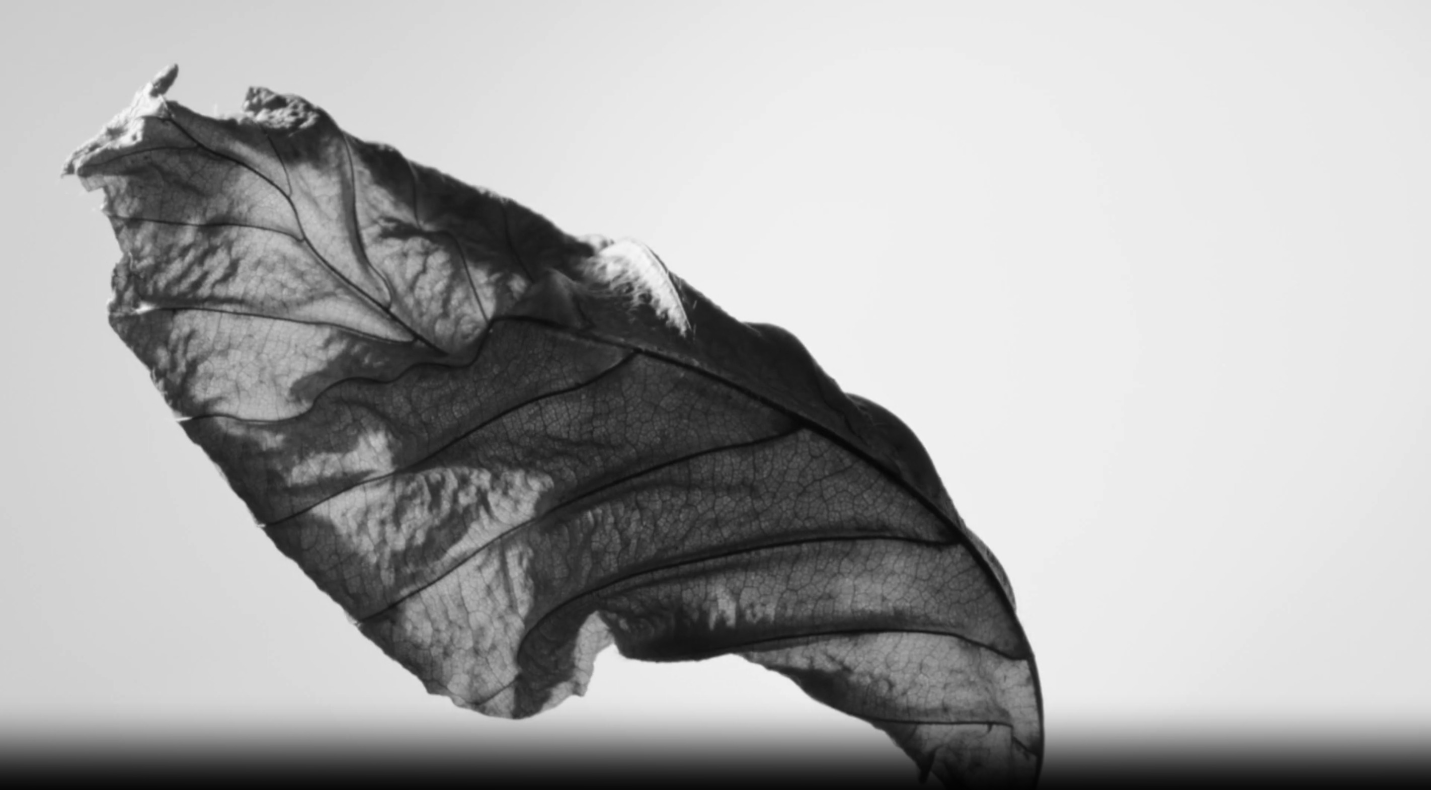 Cuuut, project-player: Armani / Acqua Di Gio (fig. 2)