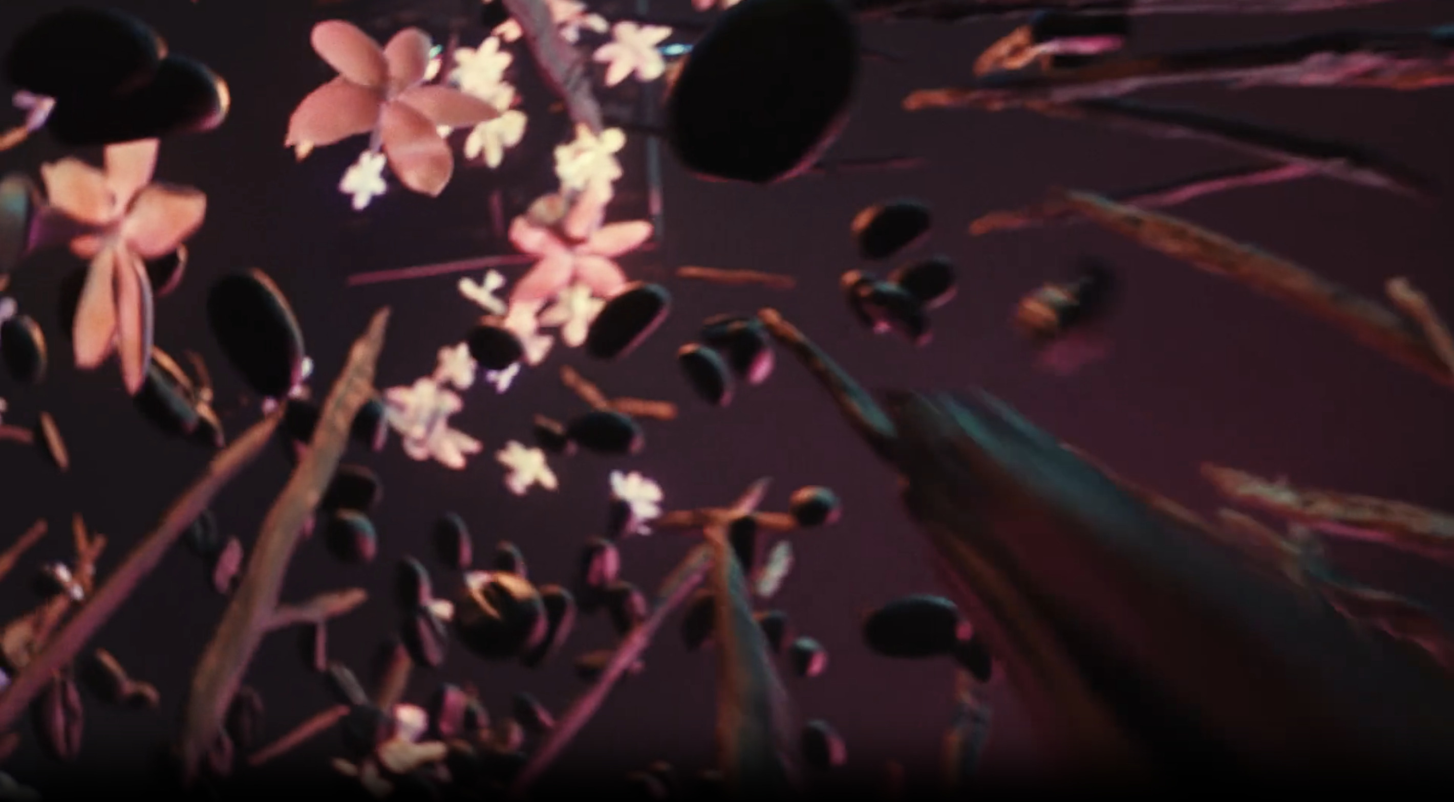 Cuuut, project-player: YSL / Black Opium (fig. 4)