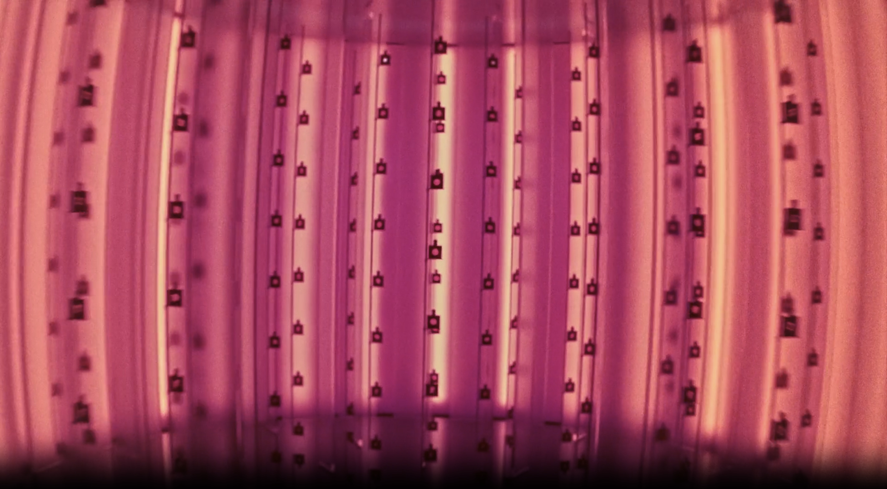 Cuuut, project-player: YSL / Black Opium (fig. 3)